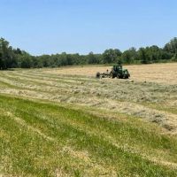 62 Acres Hay ground Pasture Live Water Howell County images 3