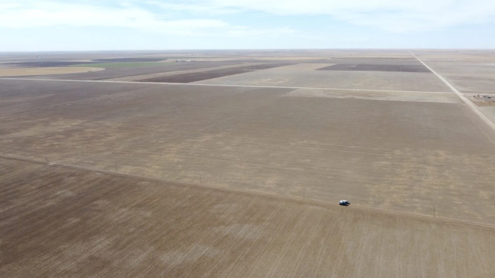 Panhandle Dryland Double Quarters featured image