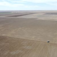 Panhandle Dryland Double Quarters