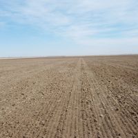 Panhandle Dryland Double Quarters images 2