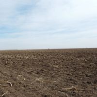Panhandle Dryland Double Quarters images 4