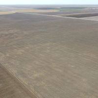 Panhandle Dryland Double Quarters images 5