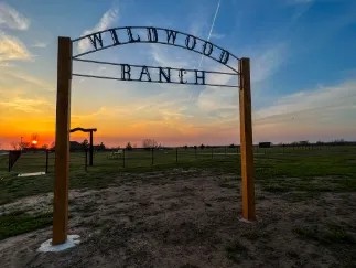Wildwood Farm and Development featured image