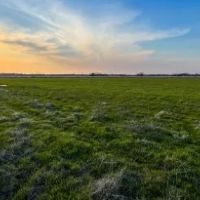 Wildwood Farm and Development images 2