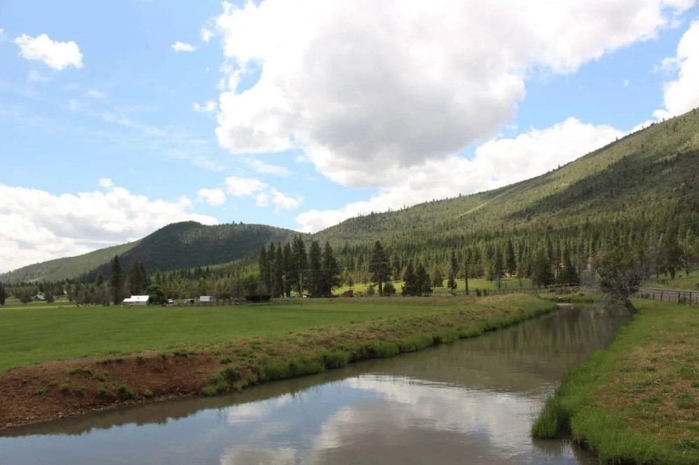 Langell Valley Ranch - Hay Hunting and Cattle Bonanza featured image