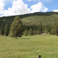 Langell Valley Ranch - Hay Hunting and Cattle Bonanza images 2