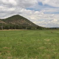 Langell Valley Ranch - Hay Hunting and Cattle Bonanza images 4