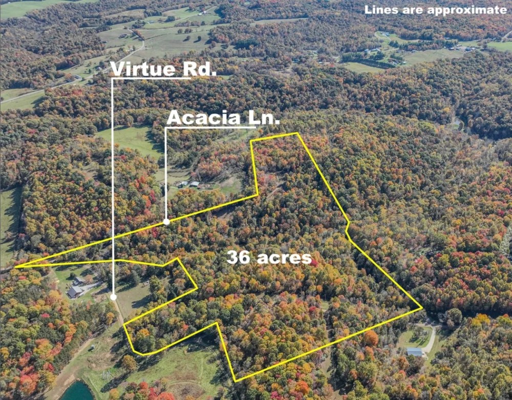 Online Auction- 36 acres - Guernsey County featured image