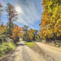 Online Auction- 36 acres - Guernsey County images 2