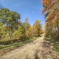 Online Auction- 36 acres - Guernsey County images 3