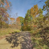 Online Auction- 36 acres - Guernsey County images 4