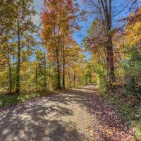 Online Auction- 36 acres - Guernsey County images 5