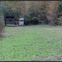 22 Acres with a Home in Carroll County at 1334 County Road 119 in Carrollton MS images 3