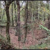22 Acres with a Home in Carroll County at 1334 County Road 119 in Carrollton MS images 5