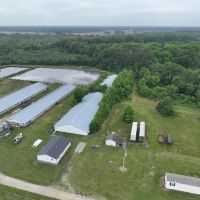 120 acre Hog farm Hunting and Residential Land For Sale in Bertie County NC images 2