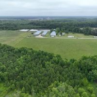 120 acre Hog farm Hunting and Residential Land For Sale in Bertie County NC images 4