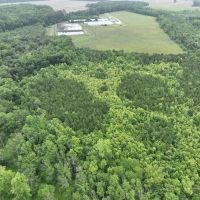 120 acre Hog farm Hunting and Residential Land For Sale in Bertie County NC images 5