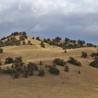 Vista Ridge images 3
