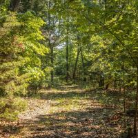 Centerville Haven images 3