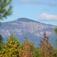 - 117.58 Acres - Beautiful Acreage with Incredible views of Table Rock