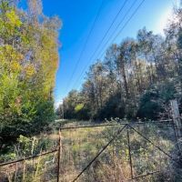 Home 36 Acres - 34 Hwy 48 W images 2