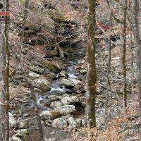 273.92 Acres on Sugar Camp Creek.