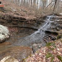 273.92 Acres on Sugar Camp Creek. images 2