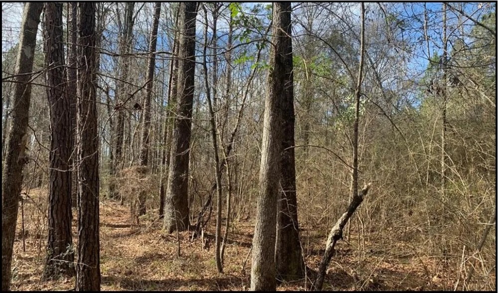 14 Acres in Copiah County in Wesson MS featured image