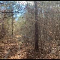 14 Acres in Copiah County in Wesson MS images 4