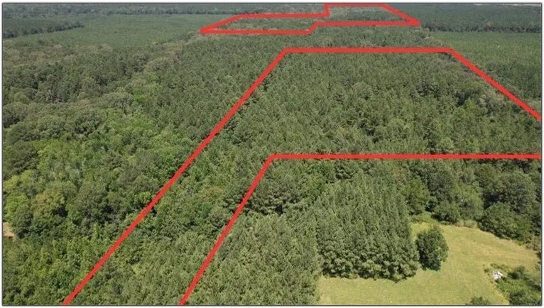 74.42 Acres in Rankin County in Pelahatchie MS featured image