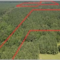 74.42 Acres in Rankin County in Pelahatchie MS