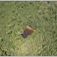 74.42 Acres in Rankin County in Pelahatchie MS images 2