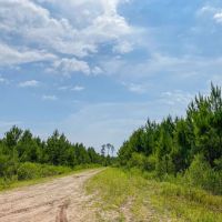 62 Acres T-3 Red Hollow images 4