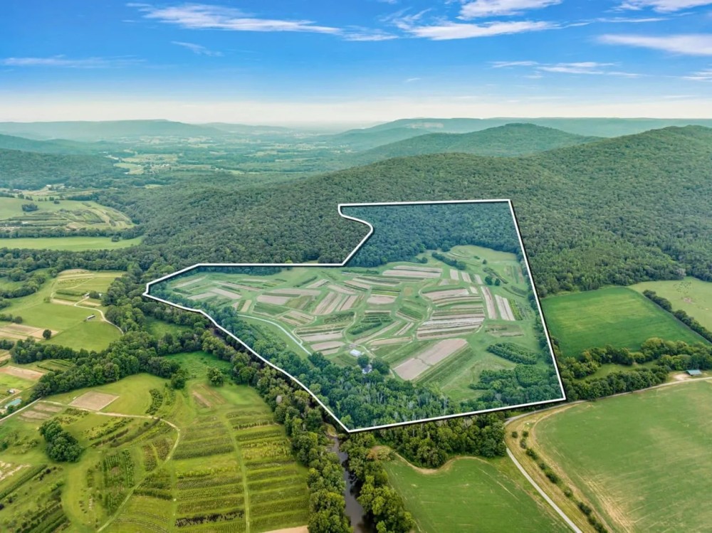225 Acres in Grundy and Warren Counties Tennessee - Thriving Tree and Plant Nursery with Investment Potential featured image