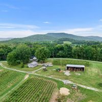 225 Acres in Grundy and Warren Counties Tennessee - Thriving Tree and Plant Nursery with Investment Potential images 3
