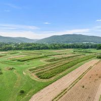 225 Acres in Grundy and Warren Counties Tennessee - Thriving Tree and Plant Nursery with Investment Potential images 4