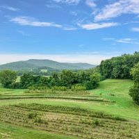 225 Acres in Grundy and Warren Counties Tennessee - Thriving Tree and Plant Nursery with Investment Potential images 5