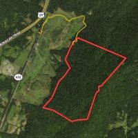 MARKET BASED PRICE IMPROVEMENT 337 Deeded Acres of Hunting Timber Recreational Land For Sale in Albemarle County VA