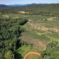 MARKET BASED PRICE IMPROVEMENT 337 Deeded Acres of Hunting Timber Recreational Land For Sale in Albemarle County VA images 2