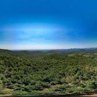 MARKET BASED PRICE IMPROVEMENT 337 Deeded Acres of Hunting Timber Recreational Land For Sale in Albemarle County VA images 3