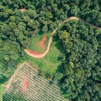 MARKET BASED PRICE IMPROVEMENT 337 Deeded Acres of Hunting Timber Recreational Land For Sale in Albemarle County VA images 4