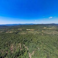 MARKET BASED PRICE IMPROVEMENT 337 Deeded Acres of Hunting Timber Recreational Land For Sale in Albemarle County VA images 5