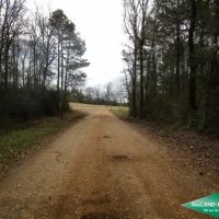34 ac - Timberland Suitable for Home Sites images 2