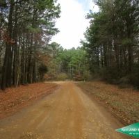 34 ac - Timberland Suitable for Home Sites images 3