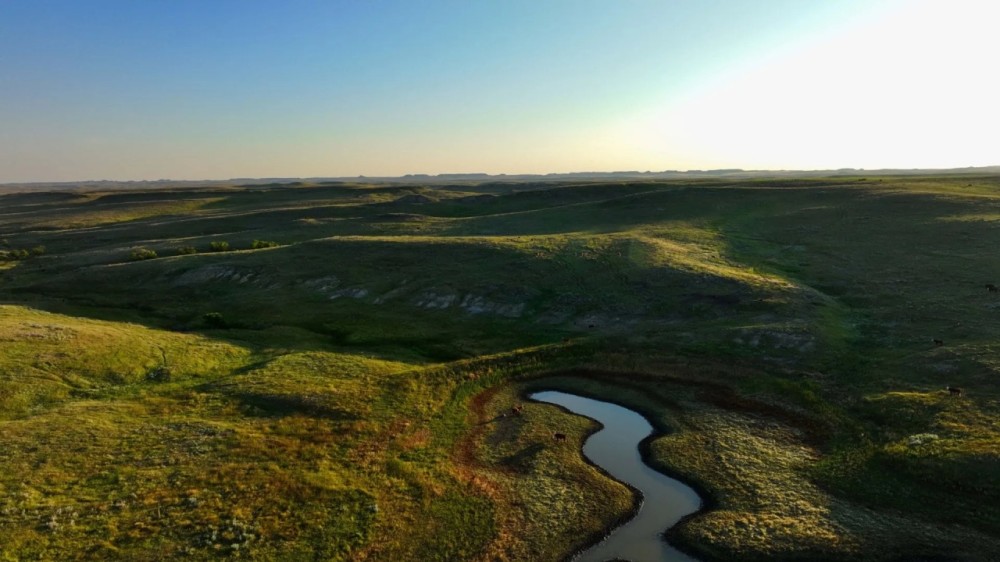 Ringling Ranch II featured image