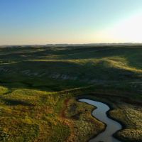 Ringling Ranch II