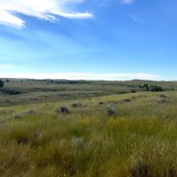 Ringling Ranch II images 3