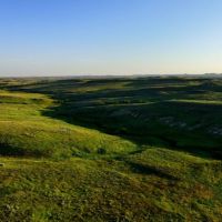Ringling Ranch II images 4