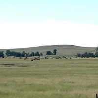 Ringling Ranch II images 5