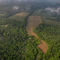 455 Acres for Sale Hunting Land in Claiborne County MS